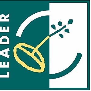 Partner-leader